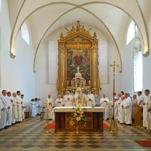 Kardinal Bozanić na proslavi svetkovine sv. Ivana Krstitelja u Vrbniku